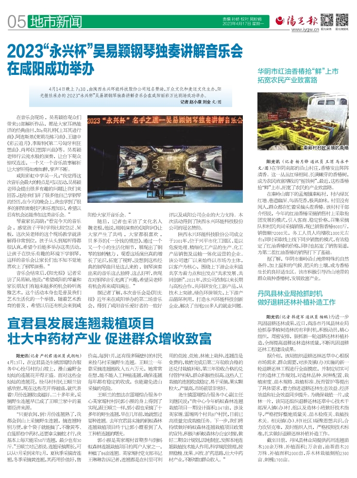 雄县最新阳光信息报纸概览