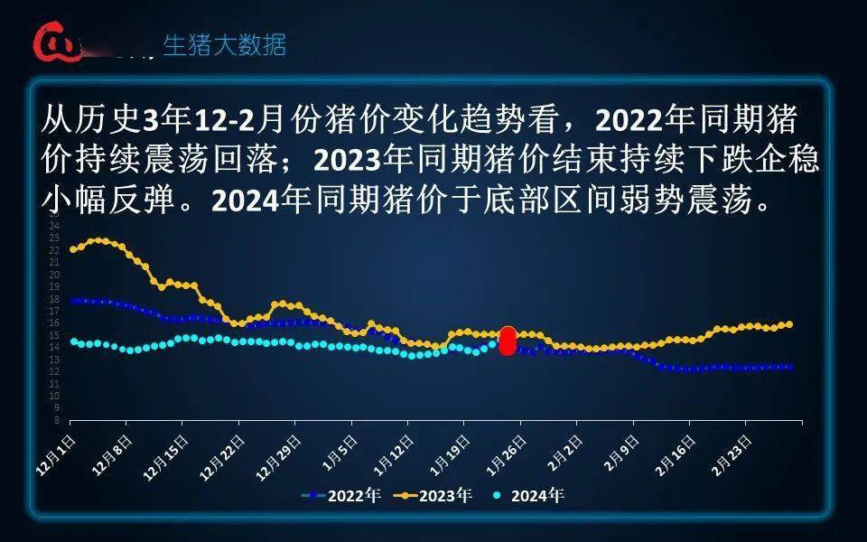当前生猪行情分析与展望