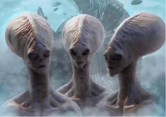 最新人类研究动态揭秘，深入了解并紧跟科研进展的步伐