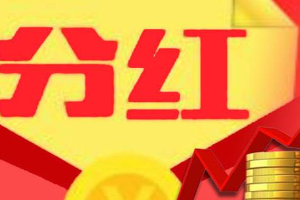 上市红利,上市红利，企业成长的金色契机