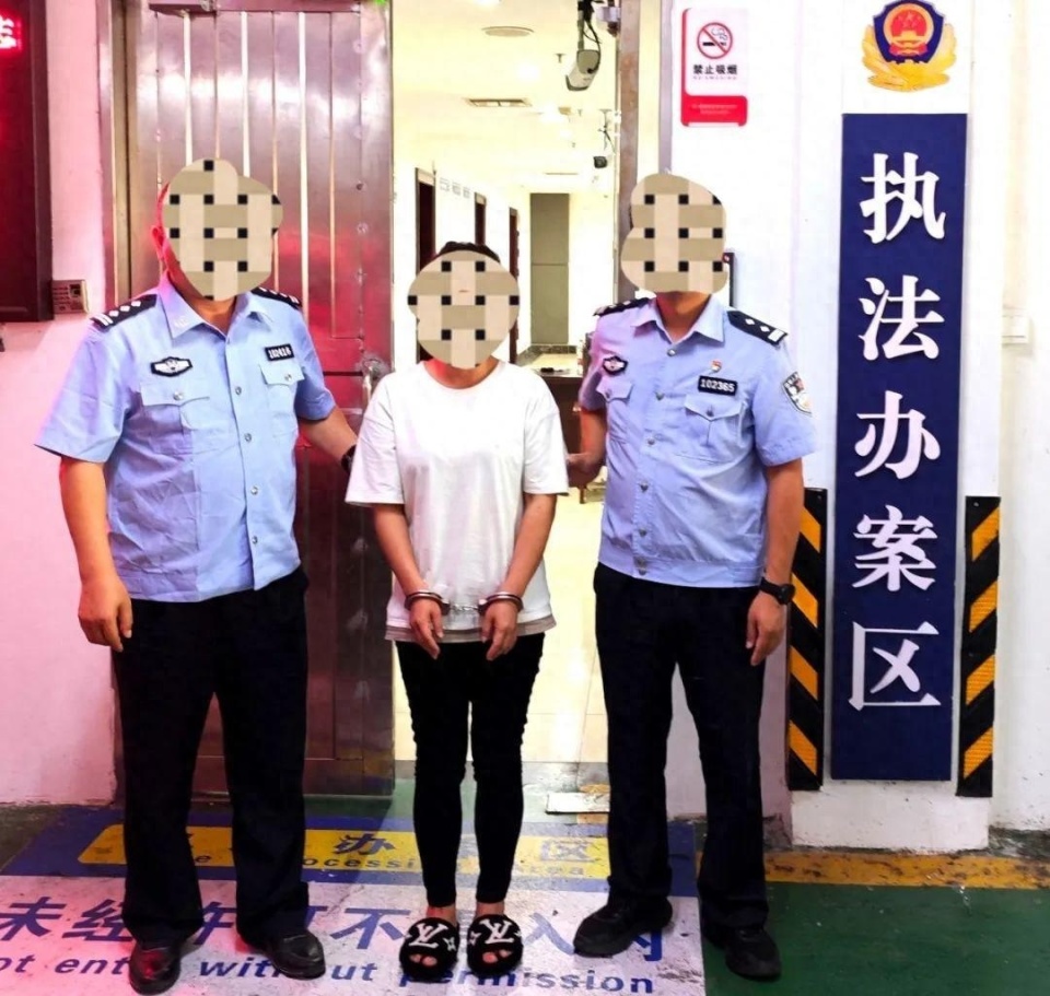 湖南电信诈骗最新动态及观点论述揭秘