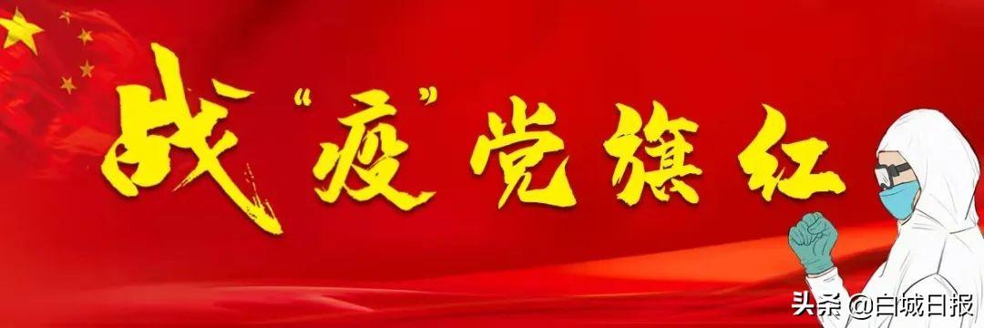 洮南疫情动态关注与应对指南，初学者到进阶用户的实用指南
