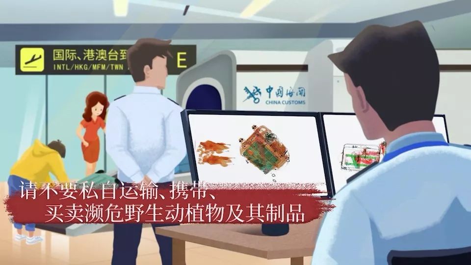 重庆海关最新动态概览🌟