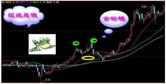 瑞贝卡股票行情深度分析与前景展望