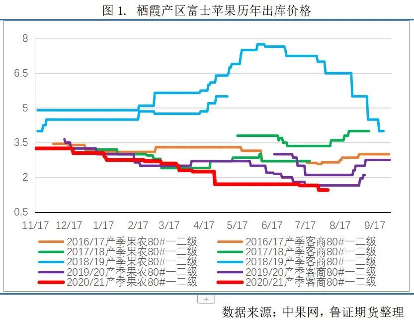 生态系统