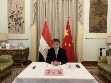 最新埃及疫情动态与防控步骤指南