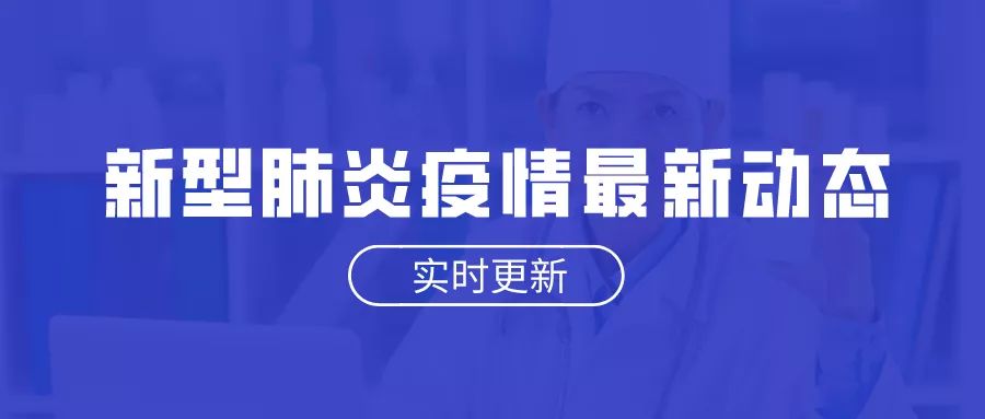 疫情最新动态与宅家生活的趣事及真挚友情分享