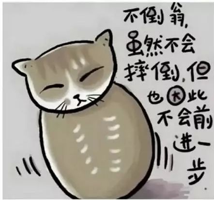 醒脑图最新深度解读与观点阐述大全