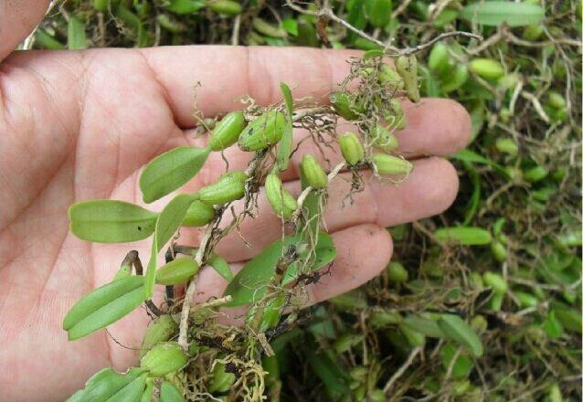 浙江医药最新动态，心灵与自然的美妙交融之旅