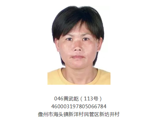 儋州诈骗通缉最新名单深度解析及警示提醒