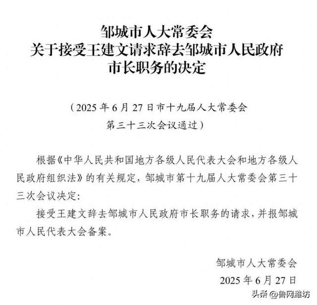 张连森最新任免动态,洞悉相关议题及其深远影响