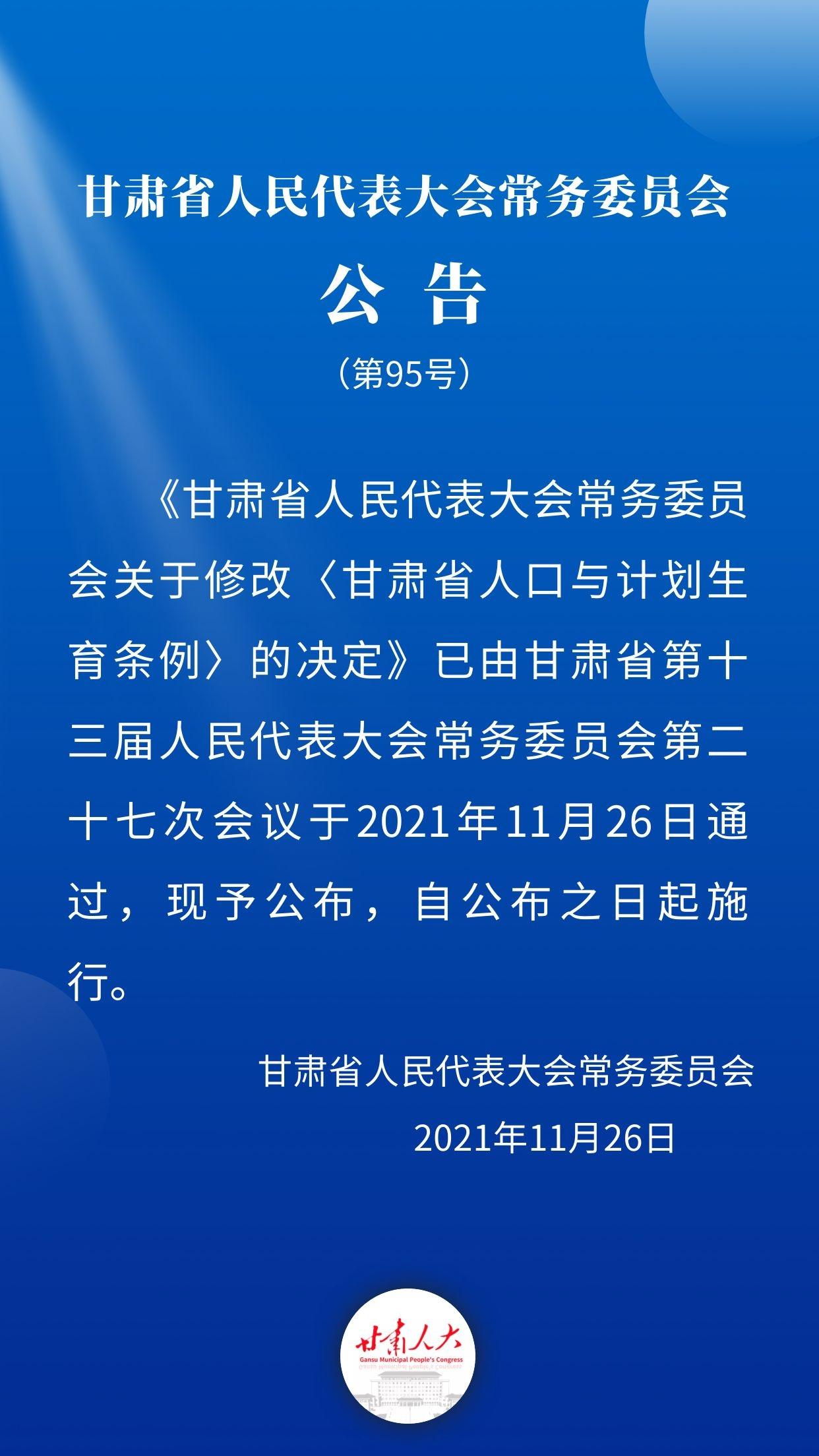 甘肃95号汽油最新价格，多维度视角下的深度解析