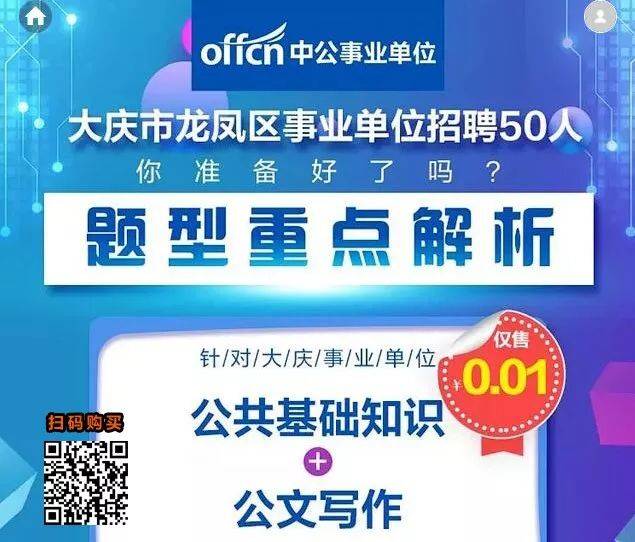 大庆龙凤最新招聘信息回顾与深度探析